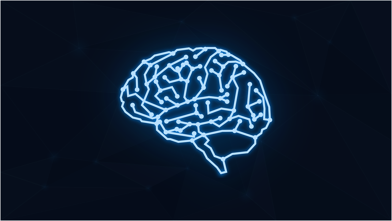 Neuropsychiatric SLE